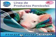 Productos Cerdos